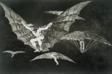 A way of flying, plate 13 of 