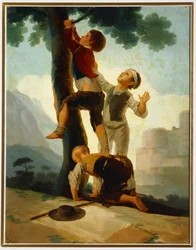 Boys Climbing a Tree