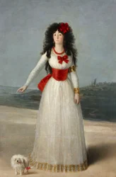 Portrait of Maria Cayetana de Silva, Duchess of Alba