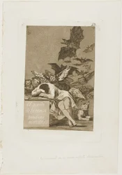 The Sleep of Reason Produces Monsters, plate 43 from Los Caprichos