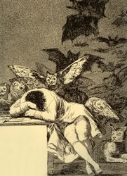 The sleep of reason produces monsters (Caprice 43)