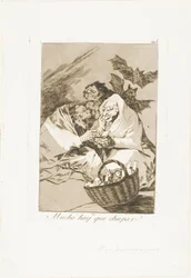 There is Plenty to Suck, Plate 45 from Los Caprichos