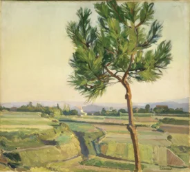 The Little Tree (Mera) 1931