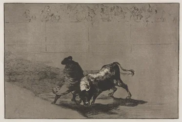 Bullfights: The Very Skilful Student of Falces, Wrapped in His Cape, Tricks the Bull with the Play of His Body