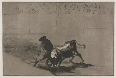 Bullfights: The Very Skilful Student of Falces, Wrapped in his Cape, Tricks the Bull, 1876