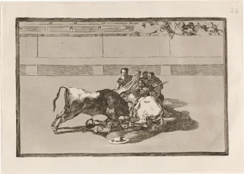 A Picador is Unhorsed and Falls under the Bull