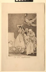 Caprichos: There They Go Plucked (i.e. Fleeced)
