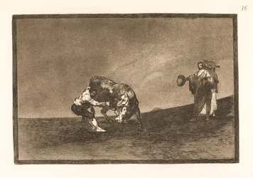The Same Man Pulls a Bull to the Ground in the Arena in Madrid
