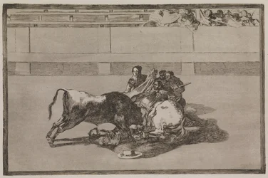 A Picador is Thrown from the Horse and Falls Under the Bull