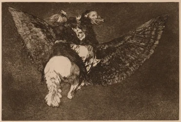 Flying Folly (Disparate volante), from the series Los Disparates