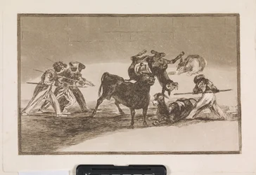 The Moors use donkeys as a barrier to defend themselves against the bull, whose horns have been fitted with balls