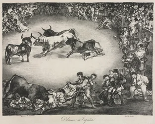 The Bulls of Bordeaux: Spanish Entertainment
