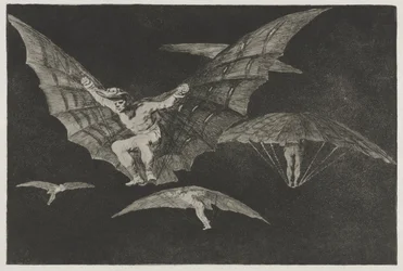 The Proverbs: A Way of Flying