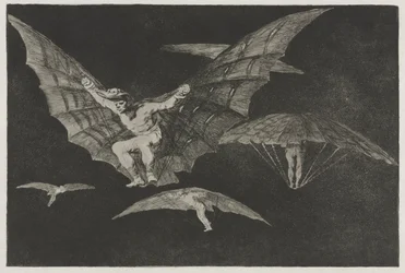 The Proverbs: A Way of Flying