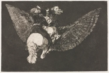 The Proverbs: Flying Folly