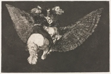 The Proverbs: Flying Folly