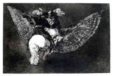 Winged Nonsense