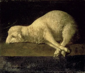 Lamb of God