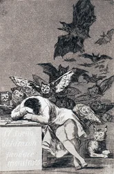 The Dream of Reason Brings Forth Monsters