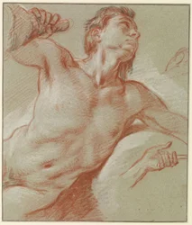Preliminary Study for a Triton