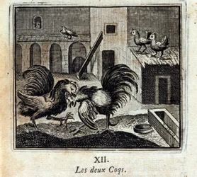 The Two Roosters. Fables by Jean de La Fontaine (1621-95). Illustration by François Chauveau (1613-1676). Edition of 1728.