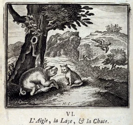 The Eagle, the Sow and the Cat