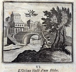 The Bird Wounded by an Arrow. Fables by Jean de La Fontaine. Illustration by François Chauveau. Edition of 1728