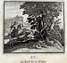The Stag and the Vine (Illustration by François Chauveau)