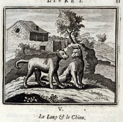 The Wolf and the Dog