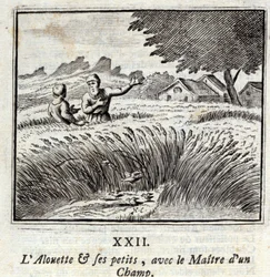 The Lark and its Little Ones with the Master of a Field (Illustration by François Chauveau)