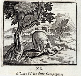 The Bear and the Two Companions