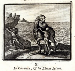 The Camel and the Floating Sticks