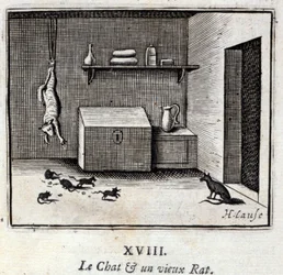 The Cat and an Old Rat