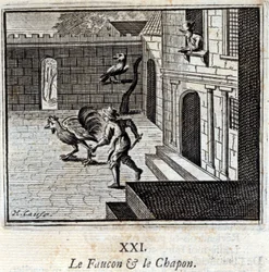 The Falcon and the Capon (Illustration by François Chauveau)
