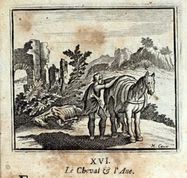 The Horse and the Donkey