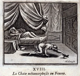 The Cat metamorphosed into a Woman (Illustration by François Chauveau)