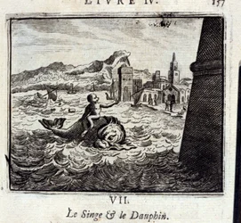 The Monkey and the Dolphin