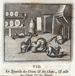 The Quarrel of Dogs and Cats, and that of Cats and Mice