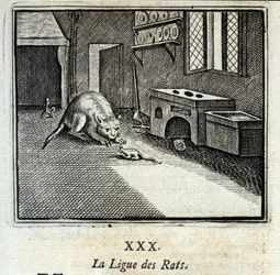 The Rat League (Illustration by François Chauveau)