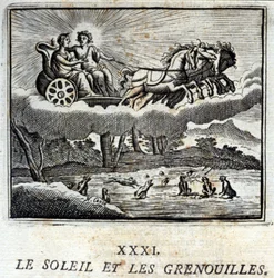 The Sun and the Frogs (Illustration by François Chauveau)