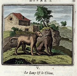 The Wolf and the Dog. Fables by Jean de La Fontaine. Illustration by Francois Chauveau. Edition of 1728