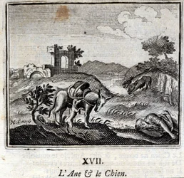 The Donkey and the Dog