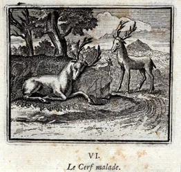 The sick deer (Illustration by François Chauveau)