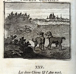 The two Dogs and the Dead Donkey. Fables by Jean de La Fontaine (1621-95). Illustration by François Chauveau (1613-1676). Edition of 1728