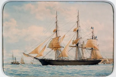 New York Ocean Herald clipper