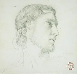 Head Study