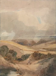 Mousehold Heath, Norwich