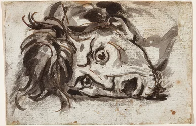 Head of a Man with Open Mouth and Wide-Open Eyes