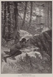Moose Hunting in Canada