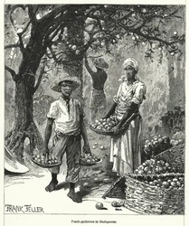 Peach-gatherers in Madagascar